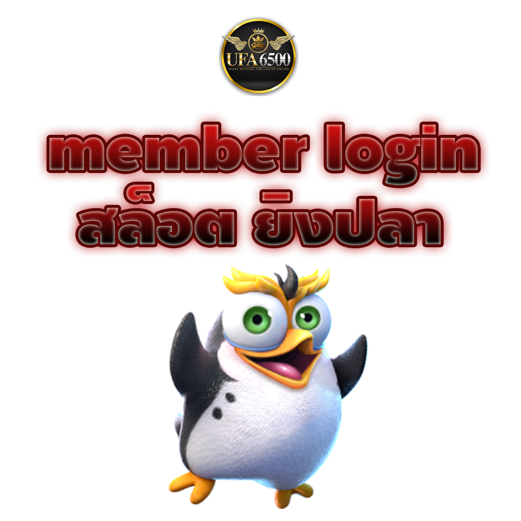  member login สล็อต ยิงปลา